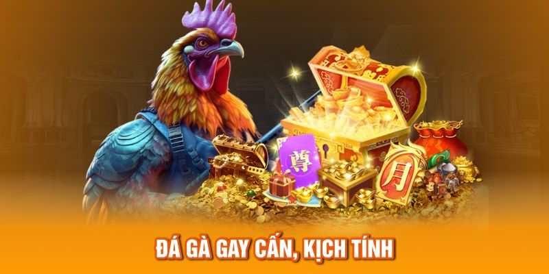 Đá gà gay cấn, kịch tính